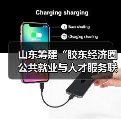 山东筹建“胶东经济圈公共就业与人才服务联盟”（图2）