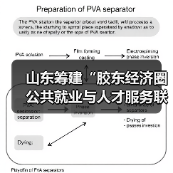 山东筹建“胶东经济圈公共就业与人才服务联盟”（图1）