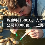 购房补贴500万、人才公寓10000套……上海青浦区推出“(图4) 购房补贴500万、人才公寓10000套……上海青浦区推出“(图4)