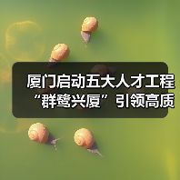 厦门启动五大人才工程 “群鹭兴厦”引领高质量发展(图4) 厦门启动五大人才工程 “群鹭兴厦”引领高质量发展(图4)