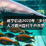遂宁启动2020年“乡村人才振兴百村千户示范工程”评选(图2) 遂宁启动2020年“乡村人才振兴百村千户示范工程”评选(图2)