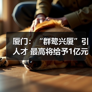 厦门：“群鹭兴厦”引人才 最高将给予1亿元项目资助（图1）