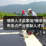 哪类人才最紧俏?南京发布重点产业紧缺人才需求目录（图2）