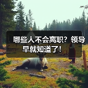 哪些人不会离职?领导早就知道了!(图1) 哪些人不会离职?领导早就知道了!(图1)