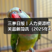 三茅日报丨人力资源相关最新简讯(2025年4月29日)(图4) 三茅日报丨人力资源相关最新简讯(2025年4月29日)(图4)