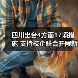 四川出台4方面17项措施 支持校企联合开展新型学徒制培训(图3) 四川出台4方面17项措施 支持校企联合开展新型学徒制培训(图3)