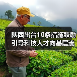 陕西出台10条措施鼓励引导科技人才向基层流动(图4) 陕西出台10条措施鼓励引导科技人才向基层流动(图4)