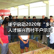 遂宁启动2020年“乡村人才振兴百村千户示范工程”评选(图1) 遂宁启动2020年“乡村人才振兴百村千户示范工程”评选(图1)