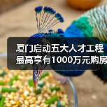 厦门启动五大人才工程 最高享有1000万元购房补贴(图4) 厦门启动五大人才工程 最高享有1000万元购房补贴(图4)
