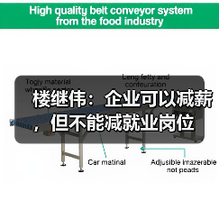 楼继伟:企业可以减薪,但不能减就业岗位(图3) 楼继伟:企业可以减薪,但不能减就业岗位(图3)