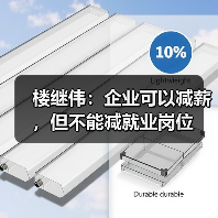 楼继伟:企业可以减薪,但不能减就业岗位(图4) 楼继伟:企业可以减薪,但不能减就业岗位(图4)