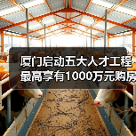 厦门启动五大人才工程 最高享有1000万元购房补贴(图2) 厦门启动五大人才工程 最高享有1000万元购房补贴(图2)