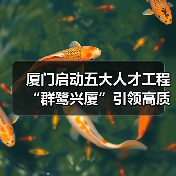 厦门启动五大人才工程 “群鹭兴厦”引领高质量发展(图2) 厦门启动五大人才工程 “群鹭兴厦”引领高质量发展(图2)