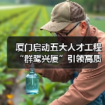 厦门启动五大人才工程 “群鹭兴厦”引领高质量发展(图3) 厦门启动五大人才工程 “群鹭兴厦”引领高质量发展(图3)