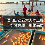 厦门启动五大人才工程 “群鹭兴厦”引领高质量发展(图1) 厦门启动五大人才工程 “群鹭兴厦”引领高质量发展(图1)