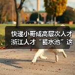快递小哥成高层次人才 浙江人才“蓄水池”这样打造(图3) 快递小哥成高层次人才 浙江人才“蓄水池”这样打造(图3)