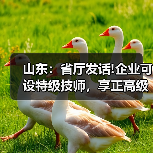 山东:省厅发话!企业可设特级技师,享正高级工程师待(图3) 山东:省厅发话!企业可设特级技师,享正高级工程师待(图3)