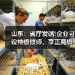 山东:省厅发话!企业可设特级技师,享正高级工程师待(图1) 山东:省厅发话!企业可设特级技师,享正高级工程师待(图1)