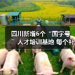 四川新增6个“国字号”人才培训基地 每个补助500万元(图4) 四川新增6个“国字号”人才培训基地 每个补助500万元(图4)