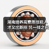 湖南培养高素质技能人才又出新招 凭一技之长免试读本(图1) 湖南培养高素质技能人才又出新招 凭一技之长免试读本(图1)