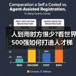 人到用时方恨少?看世界500强如何打造人才梯队（图1）