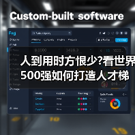 人到用时方恨少?看世界500强如何打造人才梯队（图4）