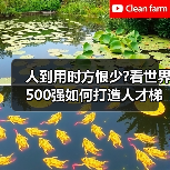 人到用时方恨少?看世界500强如何打造人才梯队（图3）
