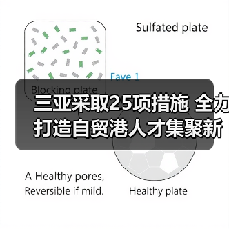 三亚采取25项措施 全力打造自贸港人才集聚新高地(图2) 三亚采取25项措施 全力打造自贸港人才集聚新高地(图2)