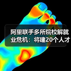 阿里联手多所院校解就业危机:将建20个人才孵化基地(图2) 阿里联手多所院校解就业危机:将建20个人才孵化基地(图2)