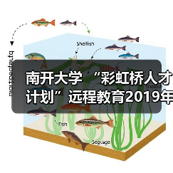南开大学 “彩虹桥人才计划”远程教育2019年开学典礼(图2) 南开大学 “彩虹桥人才计划”远程教育2019年开学典礼(图2)