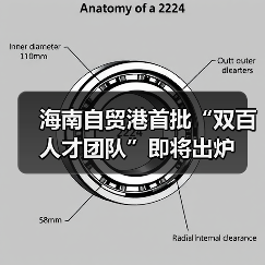 海南自贸港首批“双百人才团队”即将出炉(图3) 海南自贸港首批“双百人才团队”即将出炉(图3)