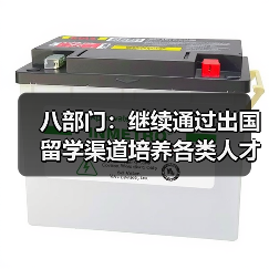 八部门:继续通过出国留学渠道培养各类人才(图4) 八部门:继续通过出国留学渠道培养各类人才(图4)