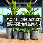 八部门:继续通过出国留学渠道培养各类人才(图1) 八部门:继续通过出国留学渠道培养各类人才(图1)