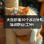 大连新增30个政府补贴培训职业(工种)(图1) 大连新增30个政府补贴培训职业(工种)(图1)