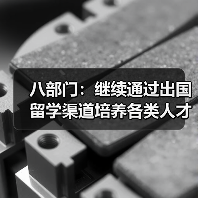 八部门:继续通过出国留学渠道培养各类人才(图3) 八部门:继续通过出国留学渠道培养各类人才(图3)