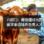 八部门:继续通过出国留学渠道培养各类人才(图4) 八部门:继续通过出国留学渠道培养各类人才(图4)
