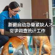 新疆启动急需紧缺人才需求调查统计工作（图2）