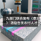 九部门联合发布《意见》 激励各类农村人才大显身手（图4）