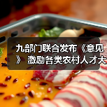 九部门联合发布《意见》 激励各类农村人才大显身手（图2）