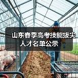 山东春季高考技能拔尖人才名单公示（图4）