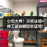 小伤大养？诊断证明≠停工留薪期延长证明！（图4）
