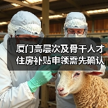 厦门高层次及骨干人才住房补贴申领需先确认资格(图1) 厦门高层次及骨干人才住房补贴申领需先确认资格(图1)