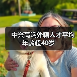 中兴高端外籍人才平均年龄超40岁(图3) 中兴高端外籍人才平均年龄超40岁(图3)