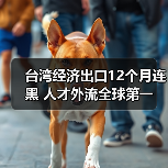 台湾经济出口12个月连黑 人才外流全球第一(图1) 台湾经济出口12个月连黑 人才外流全球第一(图1)