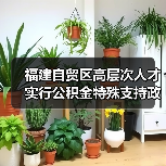 福建自贸区高层次人才实行公积金特殊支持政策(图1) 福建自贸区高层次人才实行公积金特殊支持政策(图1)