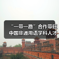 “一带一路”合作带旺中国非通用语学科人才建设（图4）