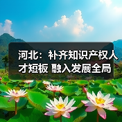河北:补齐知识产权人才短板 融入发展全局(图4) 河北:补齐知识产权人才短板 融入发展全局(图4)
