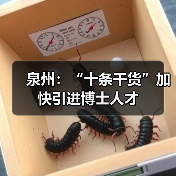 泉州:“十条干货”加快引进博士人才(图1) 泉州:“十条干货”加快引进博士人才(图1)