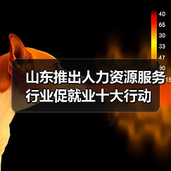 山东推出人力资源服务行业促就业十大行动(图4) 山东推出人力资源服务行业促就业十大行动(图4)