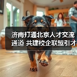 济南打通北京人才交流通道 共建校企联盟引才(图3) 济南打通北京人才交流通道 共建校企联盟引才(图3)